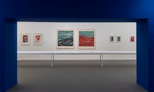 מראה הצבהקרדיט- אלי פוזנר