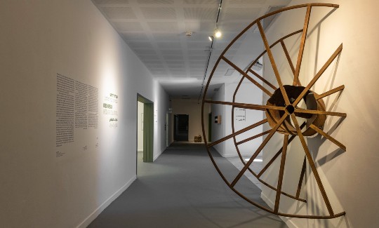 מראה הצבהקרדיט - אלי פוזנר