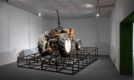 מראה הצבהקרדיט - אלי פוזנר