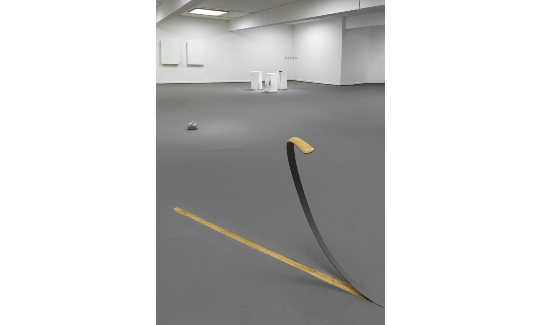 מראה הצבהקרדיט צילום- אלי