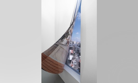 מראה הצבהקרדיט צילום- אלי