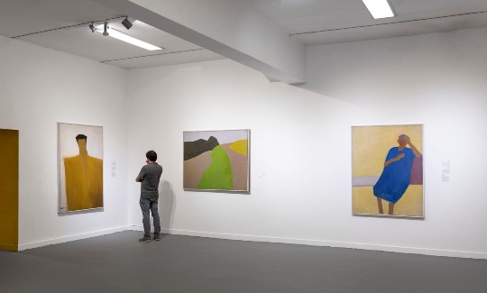 מראה הצבה קרדיט- אלי פוזנר