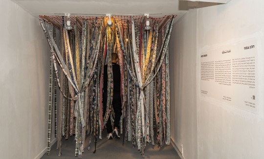 מראה הצבהקרדיט- אלי פוזנר