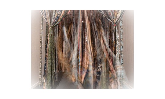 קרדיט: ג'ני כצנר