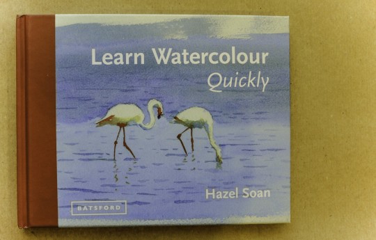 Learn Watercolour Quickly Art And Design Books חנויות - 