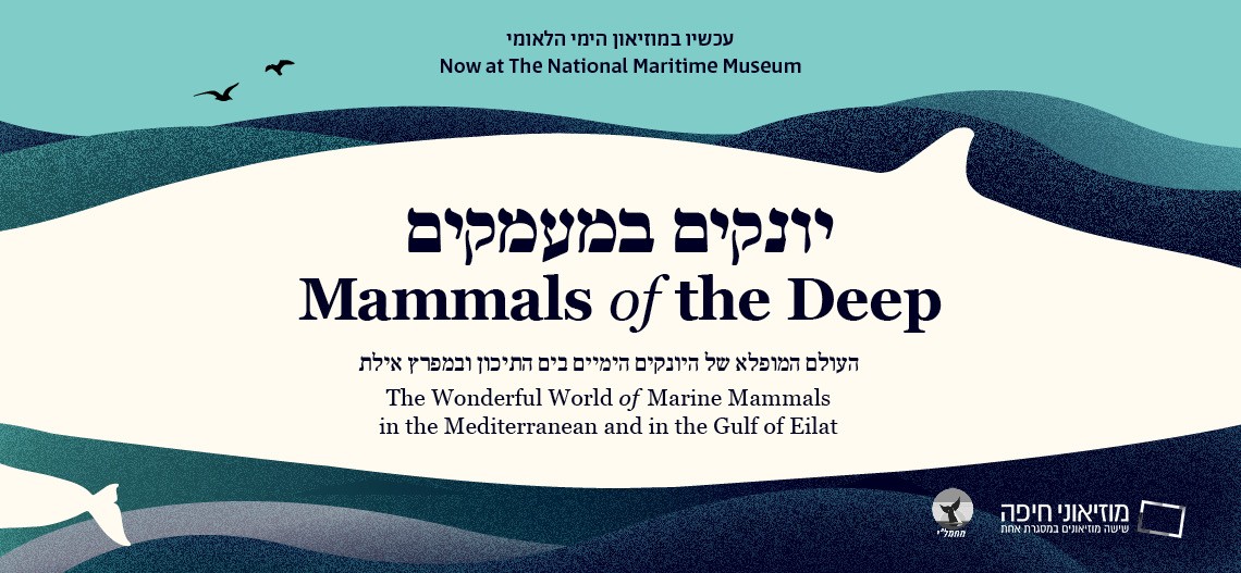 פתיחת התערוכה: שישי, 04.07.25, 10:00